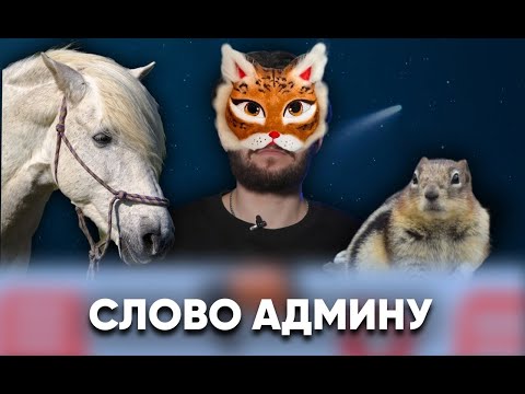 Видео: Чем кормят квадроберов? / «Слово админу»