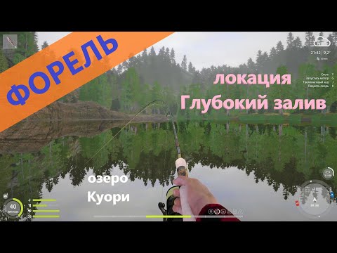 Видео: Русская рыбалка 4 - озеро Куори - Форель озерная на Balsa Minnow