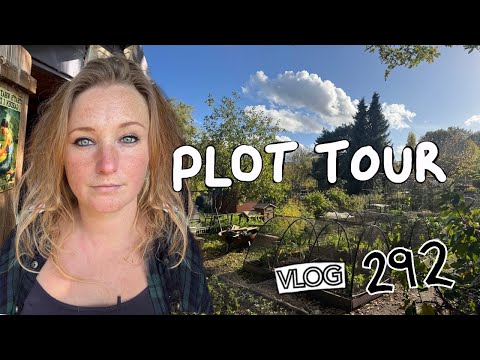 Видео: Ноябрьский сюжетный тур, эпизод 292 || Сюжет 37