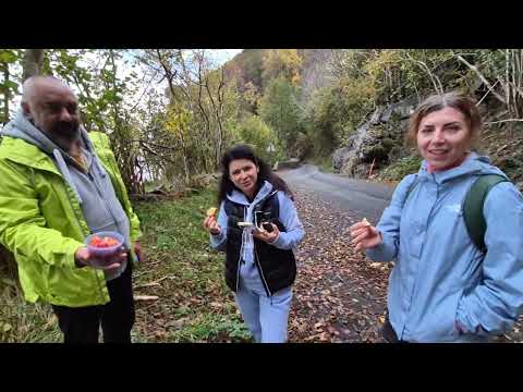 Видео: СУББОТНЕЕ ПУТЕШЕСТВИЕ НА ОСТРОВ РЕННЕСЁЙ