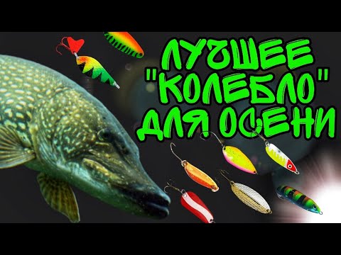 Видео: Лучшие колеблющиеся блёсны для ловли щуки осенью