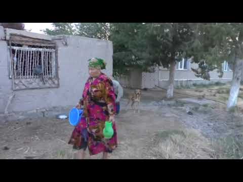 Видео: Ауыл турмысы.