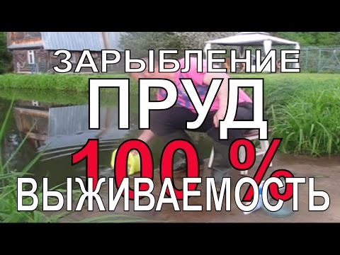 Видео: Зарыбляю пруд карасём и выживает 100%