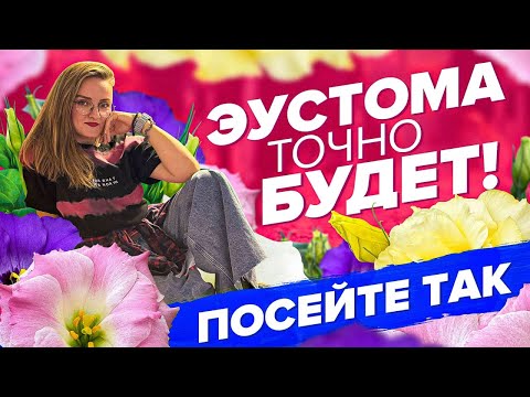 Видео: ПОДРОБНЫЙ ПОСЕВ ЭУСТОМЫ! ТОЧНО ЗАЦВЕТЕТ