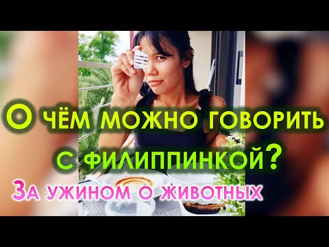 Видео: О чём можно говорить с филиппинкой. Простые разговоры за ужином. Говорим о домашних животных