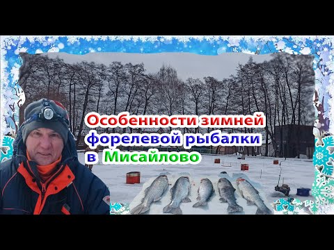 Видео: Особенности зимней форелевой рыбалки в Мисайлово. Ух и набегался за сработками)))