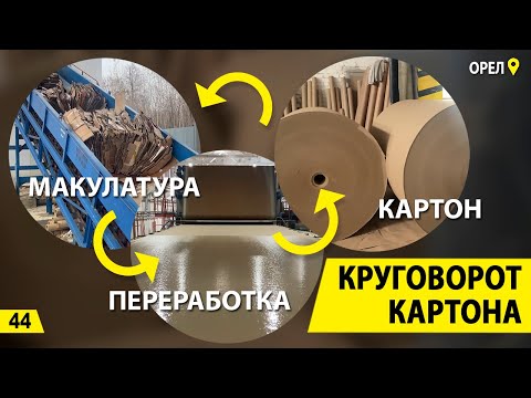 Видео: Круговорот картона. Переработка макулатуры и завод за 1 миллиард. Деньги из мусора.
