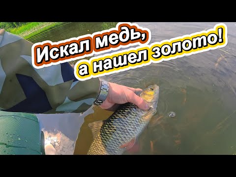 Видео: Моя ЛУЧШАЯ РЫБАЛКА на ГОЛАВЛЯ!
