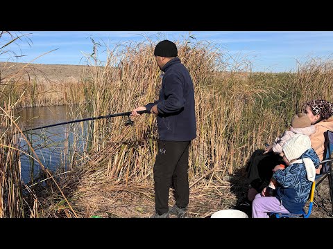 Видео: РЫБАЛКА С СЕМЬЕЙ НА ОСЕННЕМ ПРУДУ 🎣