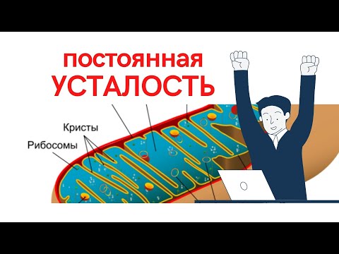 Видео: Упадок сил после 40-50-60. Как избавиться?  Доктор Владимир Соколинский (ND)