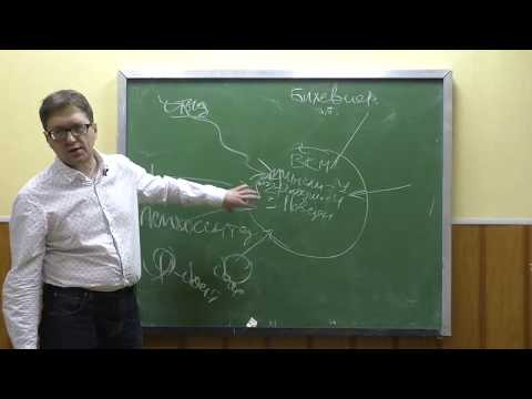 Видео: Как преодолеть страхи (фобии)