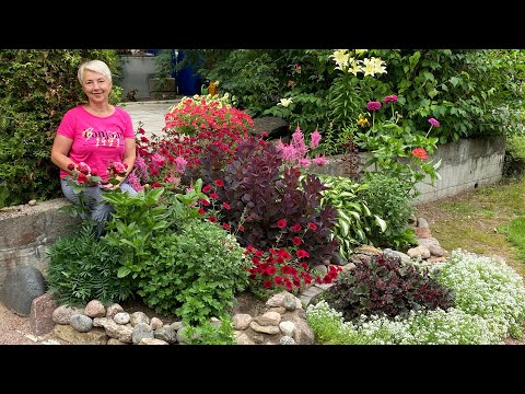 Видео: ИЮЛЬСКОЕ ЦВЕТЕНИЕ КЛУМБ и несколько советов по уходу