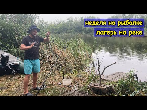 Видео: Неделя на реке Синюха. Рыбалка на фидер и на хищника. 4K