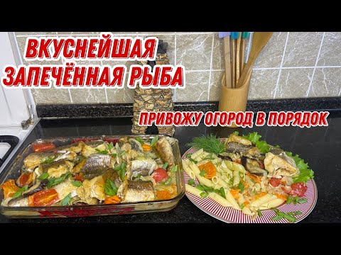 Видео: Вкуснейшая запечённая рыба с овощами | Привожу огород  потихоньку в порядок | Выпускаю цыплят