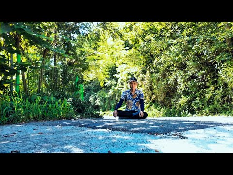 Видео: Скрытый Рай с Пением Птиц и Текущей Водой 🌿 Расслабляющий Природный Отдых