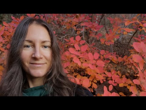 Видео: Полнолуние в Тельце 5 ноября 2025 года: Уран и Юпитер ретроградны: обретение силы и выученная бес...