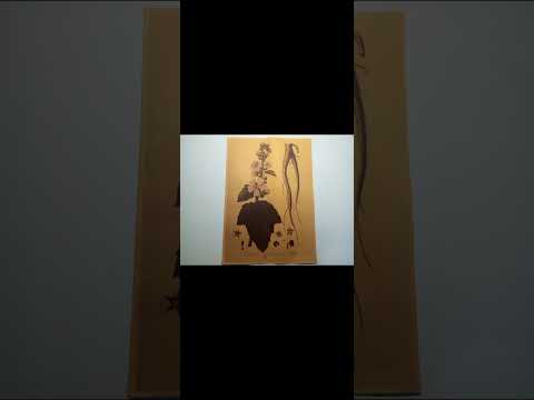 Видео: Как прошёл год после совершеннолетия моего опекаемого.