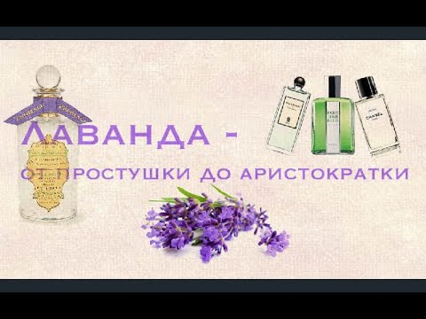 Видео: Лаванда в ароматах l Pаспаковка /Lutens/Chanel/Penhaligon’s/Hermès/Caron