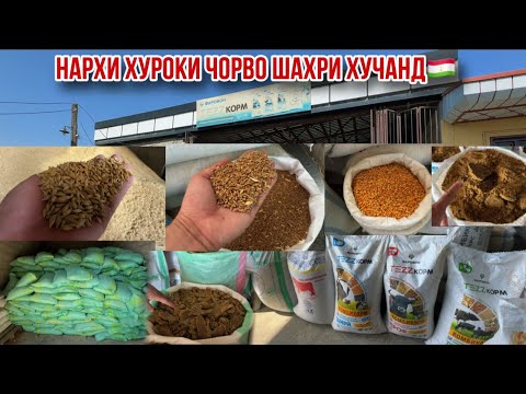 Видео: Кунчора сабус комбикорм чав чигори макка нархи хуроки чорво шаҳри Хучанд 15 сентября 2025 г.