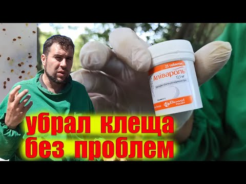 Видео: Обработка пчёл от клеща варроа 100% осыпался. Лечение пчел от клеща. Дымящие таблетки Апивароль