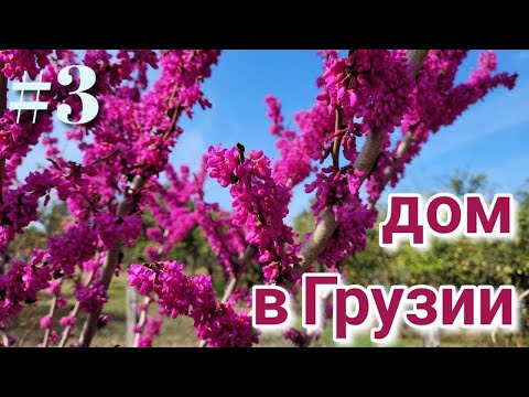 Видео: #3 Дом в Грузии