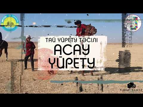 Видео: АСАУ ҮЙРЕТУ | Тай үйрету тәсілі | Шу ауданы