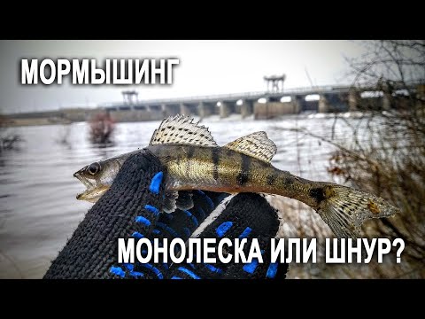 Видео: Монолеска или шнур? / Мормышинг