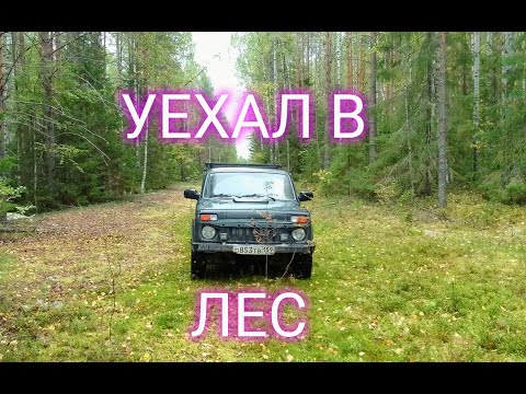 Видео: Лесной поиск. Сломал фаркоп