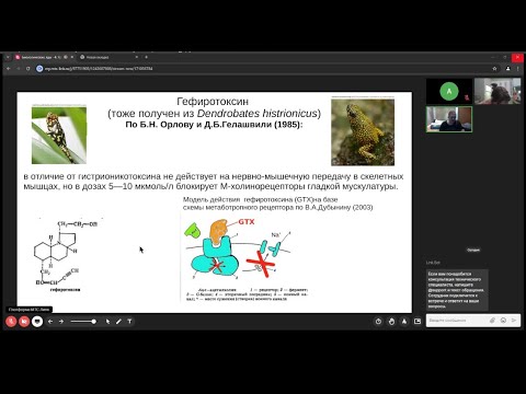 Видео: А.Ю.Соколов."Биологические яды" Курс для студентов "Факультета наук о жизни" МИП . Лекция 4