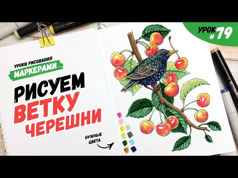 Видео: Как нарисовать черешню и скворца на ней? / Видео-урок по рисованию маркерами для новичков #79