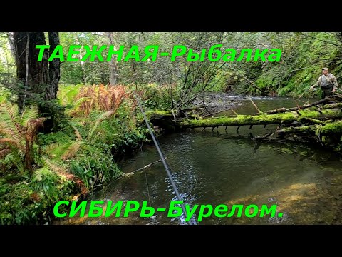 Видео: Ловля ХАРИУСА в ТАЙГЕ/Рыбалка на СЛОЖНОЙ Речке/.Ловим/.Нашли СТАЮ Хариуса.