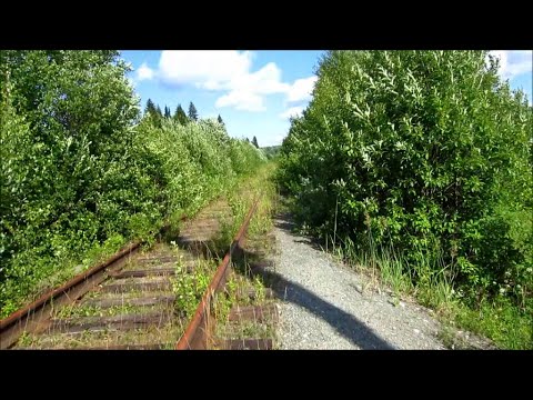 Видео: Поход по заброшенной Ж/Д ветке Комарихинская - Уралнефть, Пермский Край.