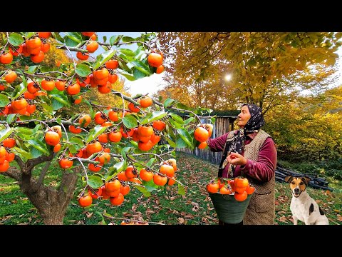 Видео: Бабушка Приготовила Полезные и Сладкие Конфеты без Сахара. Сушим Хурму на Зиму.