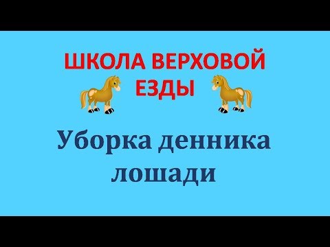 Видео: Уборка денника лошади
