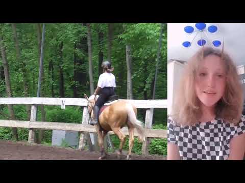 Видео: Тренировка Ксюша и Кедр. Выполняем вольты и диагонали на рыси.