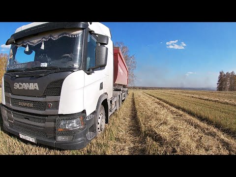 Видео: Уборочная страда 2025 года. Крайние дни . Часть 2.