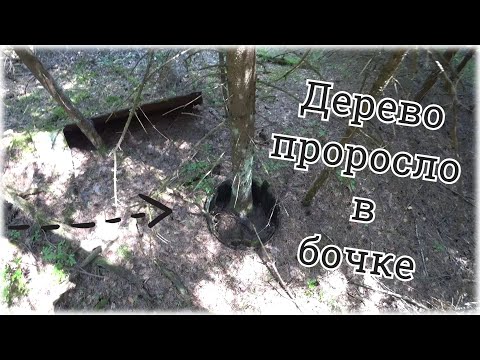 Видео: Поиск на территории Лесозавода 40-х годов