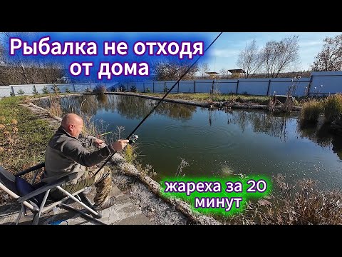 Видео: Рыбалка не отходя от дома #рыбалка #готовканаприроде #еда #рыба #карп
