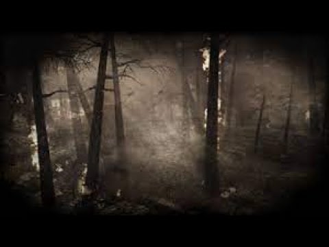 Видео: Call of duty: World at war Зееловские высоты (их земля, их кровь) игрофильм+съёмки с режимом noclip