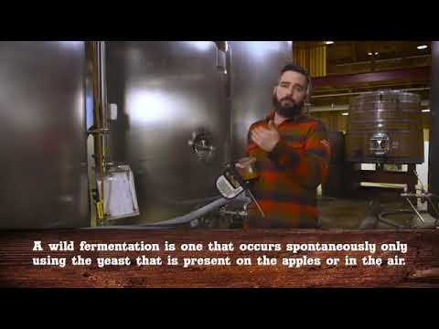 Видео: Производство сидра, полный цикл, Angry Orchard