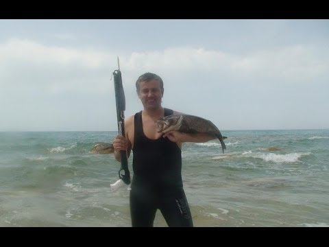 Видео: Морской судак Подводная охота Александр Кочубей