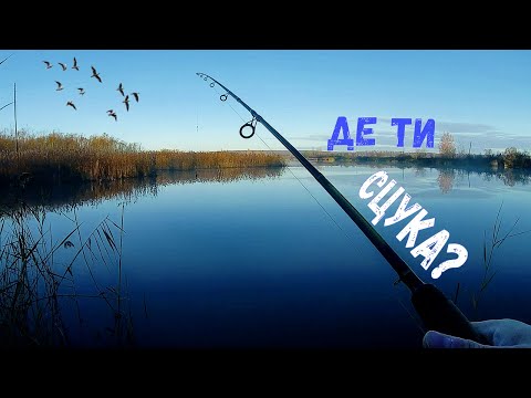 Видео: ПОЛЮВАННЯ НА ЩУКУ. Що не так?