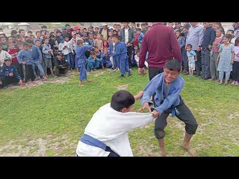 Видео: Гуштин дар вилояти Хатлон қишлоқи Ҷорубқул мақул шава лайк ба хотири шери нарои ҶОРУБҚУЛ
