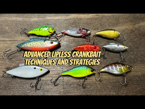 Видео: Продвинутые техники и стратегии ловли на безлопастные воблеры…