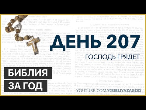 Видео: День 207: Господь грядет – «Библия за год» с о.Майком Шмитцем