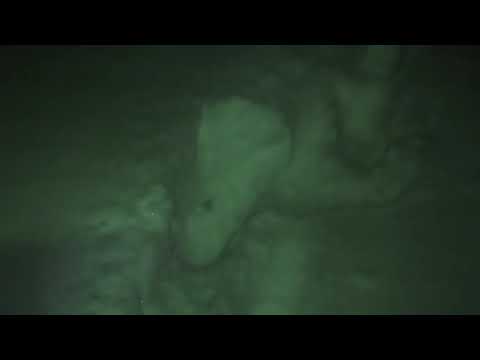 Видео: Город-призрак Адуляр. Снова в кошмаре (Ночь, выпуск 2)