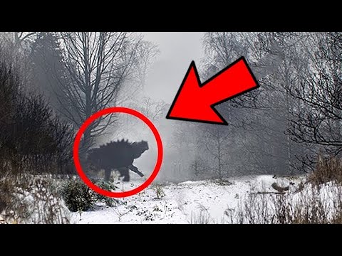 Видео: Топ 10 Най-Странните Неща,Открити в ЧЕРНОБИЛ!