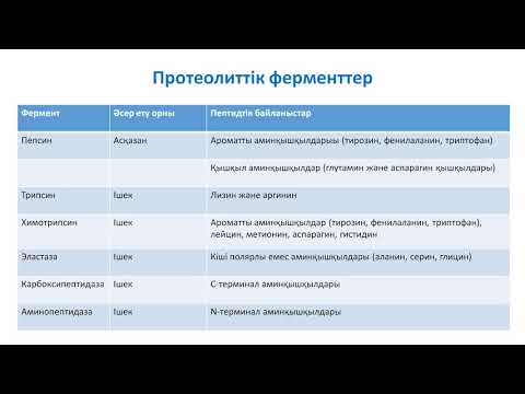 Видео: Ақуыздардың қорытылуы