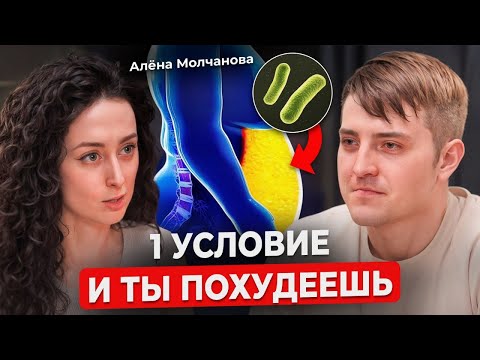 Видео: Жир с живота и боков уйдет НАВСЕГДА! Всего 1 пробиотик и ты похудеешь. Врач-диетолог