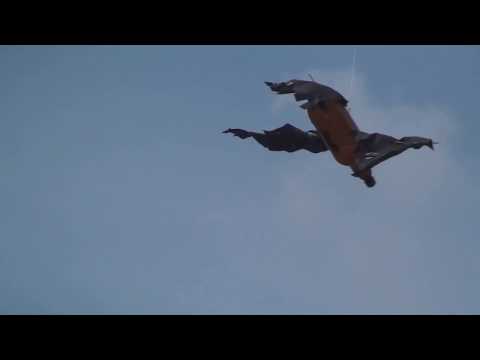 Видео: Пугало для ягодожрущих птиц